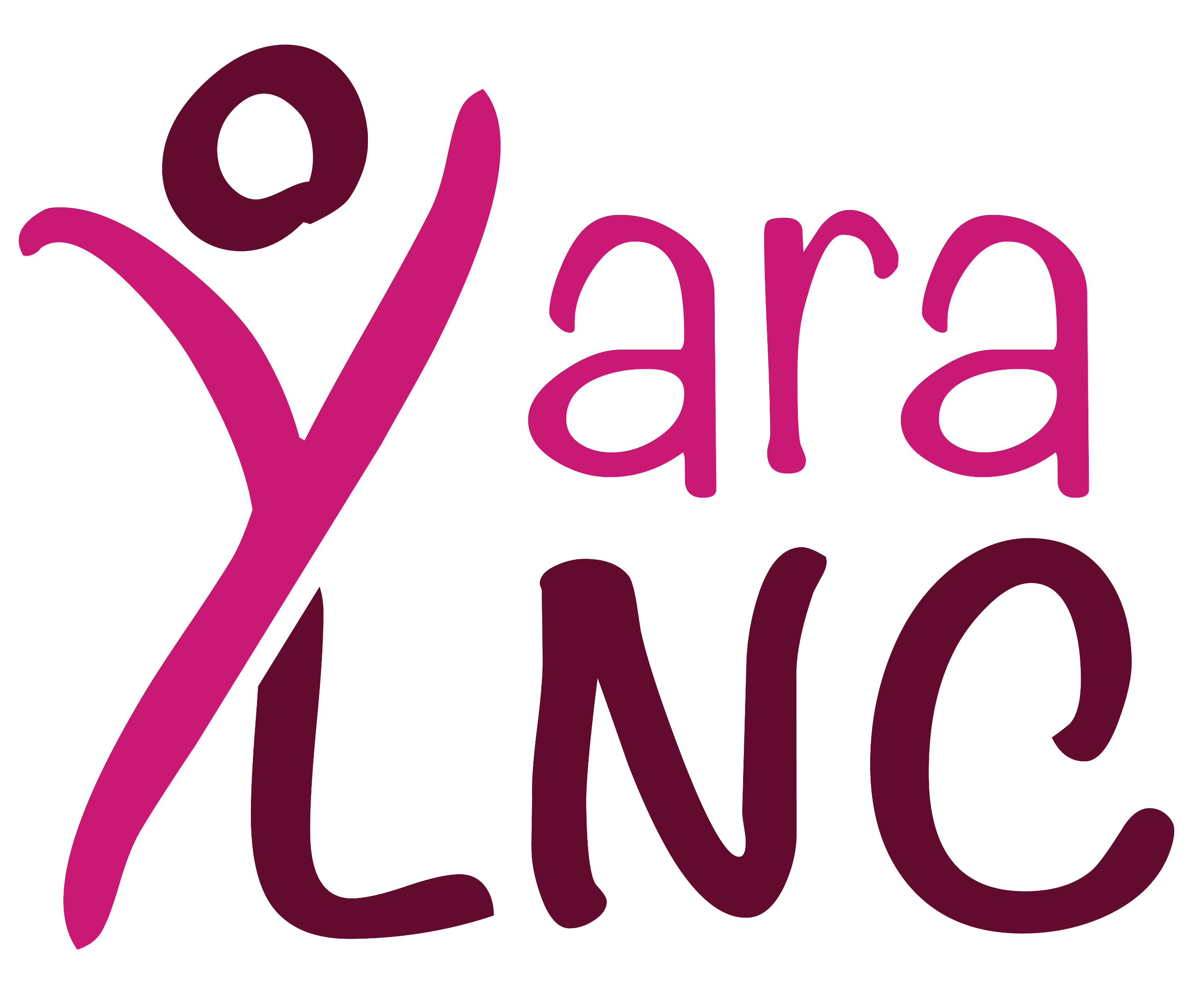 YARA LNC organization logo